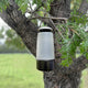 Envirosafe Alfresco Fly Trap - Reusable Outdoor Fly Trap - 120mm x 300mm - Low Odour