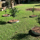 Jack Interlocking Steel Tree Ring - 300mm - Galvanised Steel - Durable