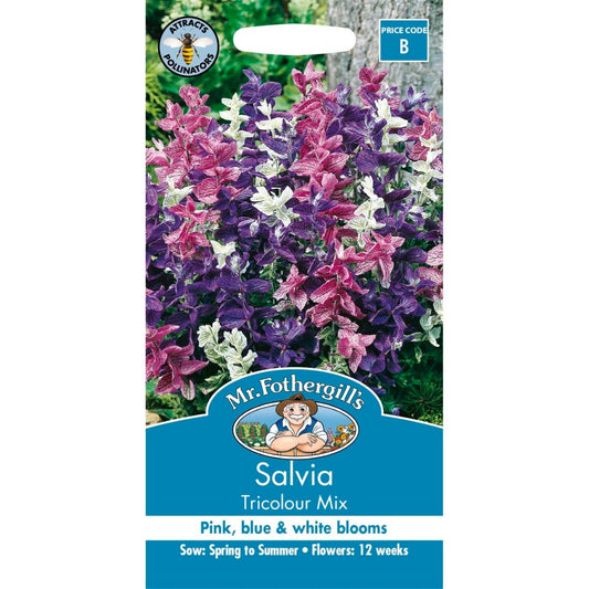 Mr Fothergill Salvia Tricolour Mix - 75mm - Seed - Attracts Bees - Auzzistore