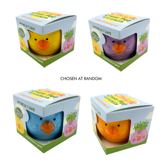 Mr Fothergill Cress Chick Grow Kit - Assorted Colours - 1 Ceramic Pot - 6 x 6 x 4.5 cm - Auzzistore