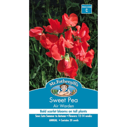 Mr Fothergill Sweet Pea Air Warden Seeds - 12-14 Weeks - Bold Blooms - Auzzistore