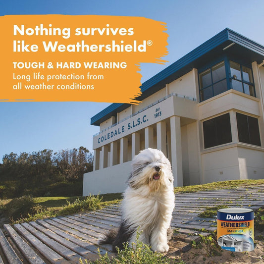 Dulux Weathershield Ultra Deep Gloss Exterior Paint 4L - 4L - Self-Priming – view 2 - Auzzistore