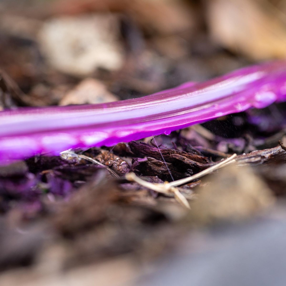 Nylex Soaker Hose - 12mm x 7.5m - Recycled Water - Water Saving