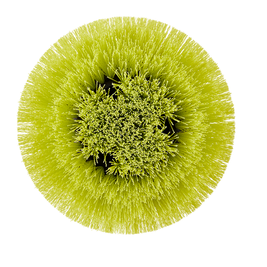 Ryobi 150mm Round Medium Bristle Brush - Effective Cleaning Tool - Grout & Tile – view 2 - Auzzistore