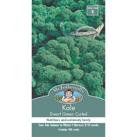 Mr Fothergill Dwarf Green Curled Kale Seeds 75mm Green Nutrient-Rich