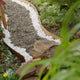 Jack Bright White Decorative Pebble 35-50mm Garden Edging Mulch