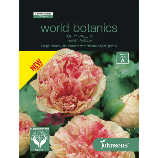 Johnsons Poppy Paeony - 750 Seeds - Seed - Large Double Blooms - Auzzistore