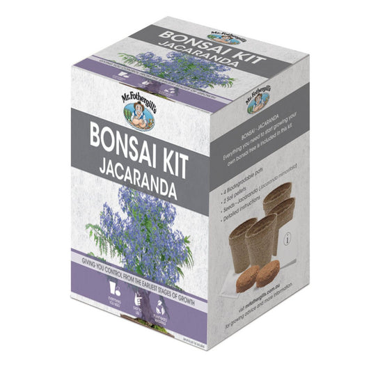 Mr Fothergill Jacaranda Bonsai Kit - 4 Pots - 90mm x 130mm x 90mm - Auzzistore