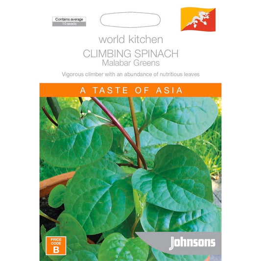 Johnsons Climbing Spinach - 30cm - Seeds - Easy to Grow - Auzzistore