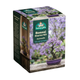 Mr Fothergill Jacaranda Bonsai Kit - 4 Pots - 90mm x 130mm x 90mm