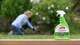 Yates Advanced Garden Insect Killer - 50ml - Liquid - Fast Acting