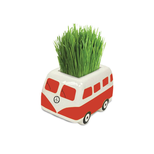 Mr Fothergill S Red Good Vibes Minivan Grow Kit - 80mm x 50mm x 45mm - Fast-Sprouting Plant – view 2 - Auzzistore