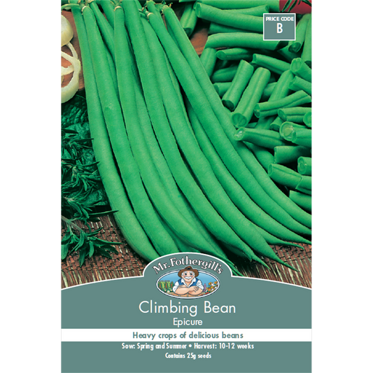 Mr Fothergill Climbing Bean Seeds 12 Weeks Green Premium Flavor