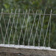 Jack Stainless Steel Bird Spike 250mm x 110mm Humane Pest Deterrent