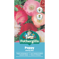 Mr Fothergill Poppy Shirley Mix - 1500 Seeds - Annual - Sunny Areas