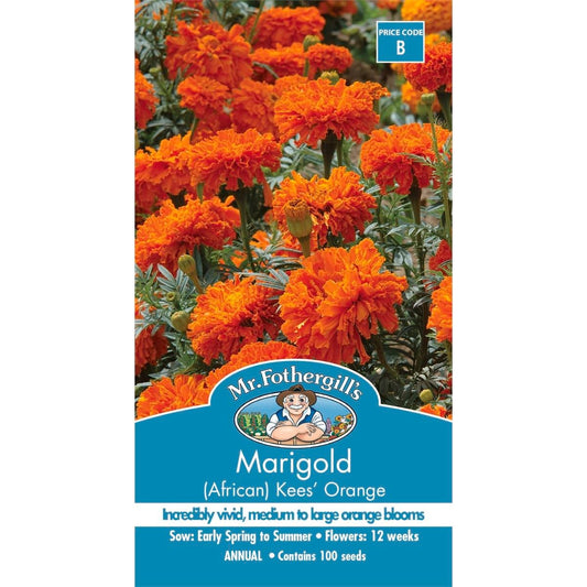 Mr Fothergill Marigold African Kees Orange Seeds 75mm Easy Grow - Auzzistore