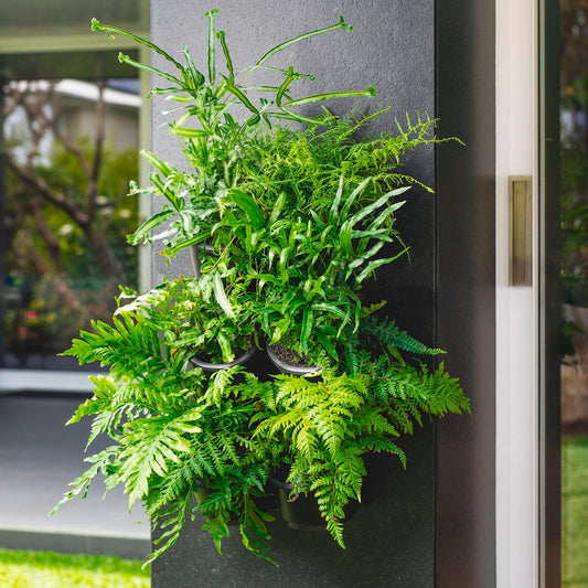 Holman Greenwall Slim Mounted Kit - 198mm x 535mm - Plastic - Outdoor Use – view 2