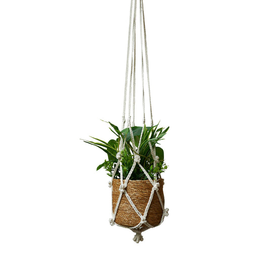 Eden 110cm Cotton Macrame Hanger - Hand-Woven Plant Display with Tassels