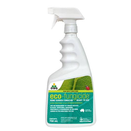OCP Eco Fungicide - 750ml - Ready To Use - Safe For Edibles