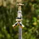 Pope 2 Way Brass Threaded Tap - 12mm - Solid Brass - Durable Design