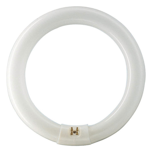 Philips Circular Fluorescent Lamp - 40W - Plastic - Cool White - Auzzistore