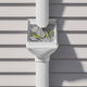 Rain Harvesting 90mm Leaf Beater Rain Head - White - RHLB20