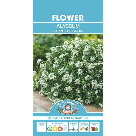 Mr Fothergill Alyssum Carpet of Snow Seeds 1000 Seeds Hardy Annual - Auzzistore