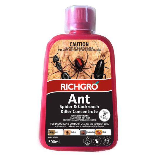 Richgro Ant Spider Cockroach Killer Concentrate 500ml - Liquid Clear - Auzzistore