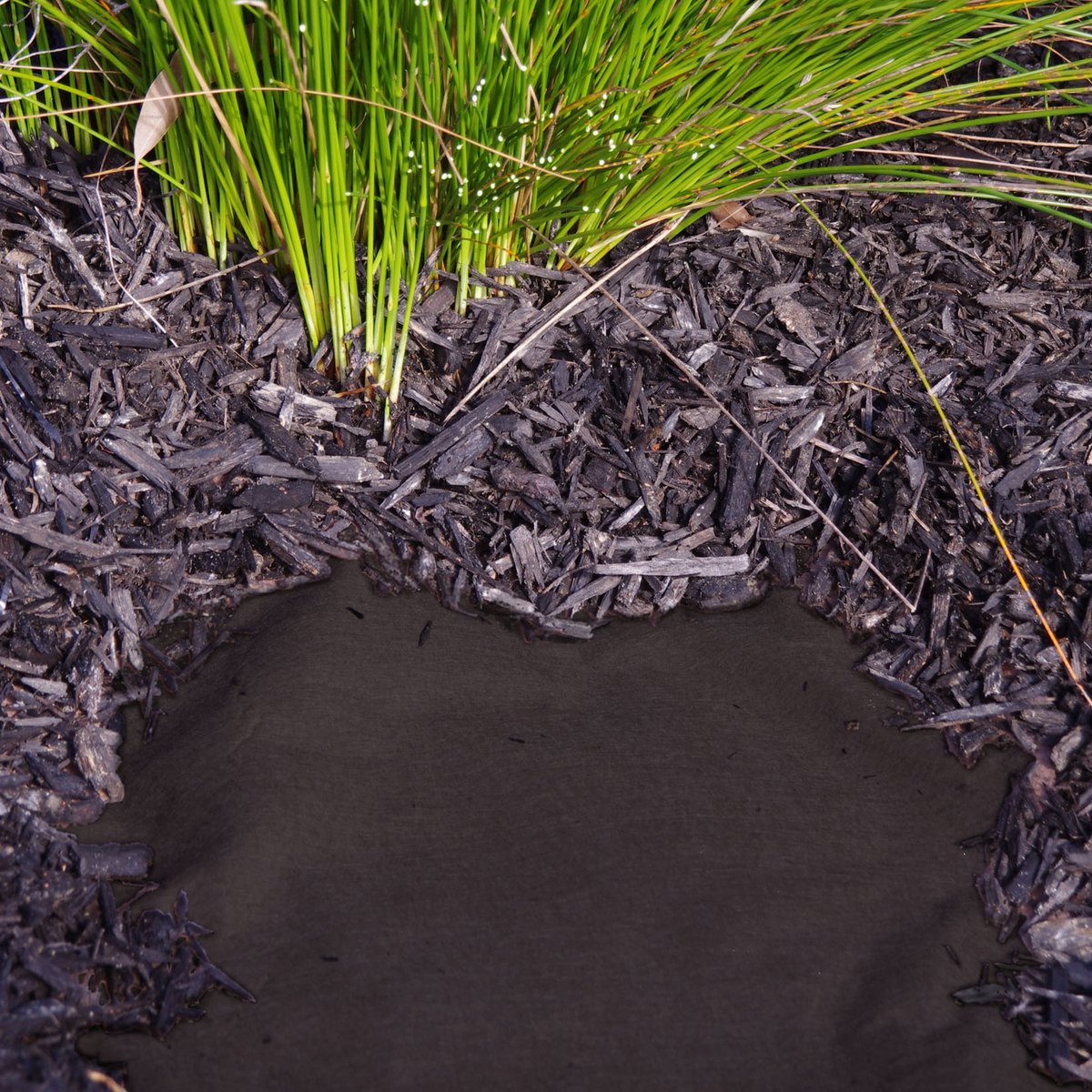 WaterLOCK Black 0.9 x 10m Mulch Mat - 80GSM PET - Retains Moisture