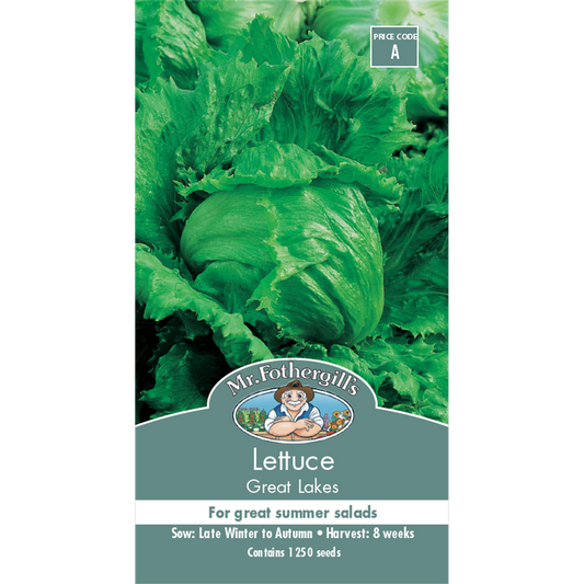 Mr Fothergill Great Lakes Lettuce Seeds - Large Crisp Heads - Green - Ideal for Summer Salads - Auzzistore