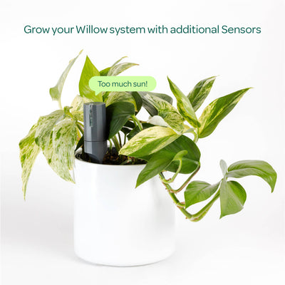Willow Smart Indoor Plant Sensor - Charcoal - Monitors Soil Moisture, Light, Temperature, Humidity - Bluetooth Connectivity