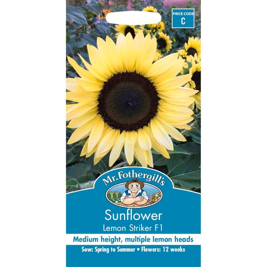 Mr Fothergill Sunflower Seeds - 120cm - Seed - Pollen Free - Auzzistore