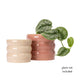 Borralheira Indoor Ceramic Pot - 180 x 155mm - Smooth Bone - Durable & Waterproof