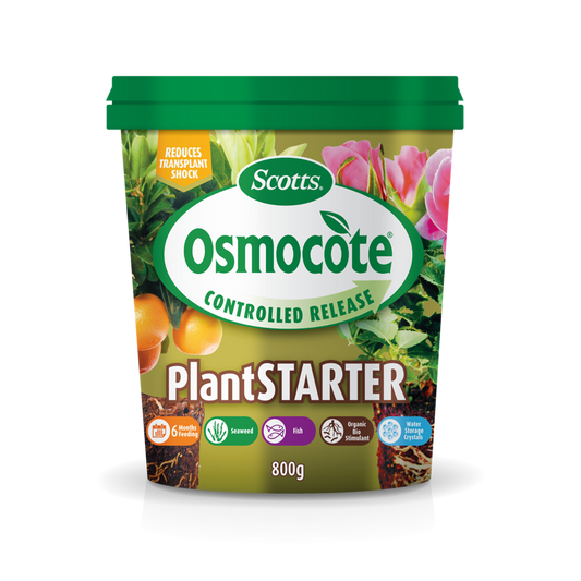 Scotts Osmocote Plant Starter 800g Controlled Release Fertiliser - Auzzistore