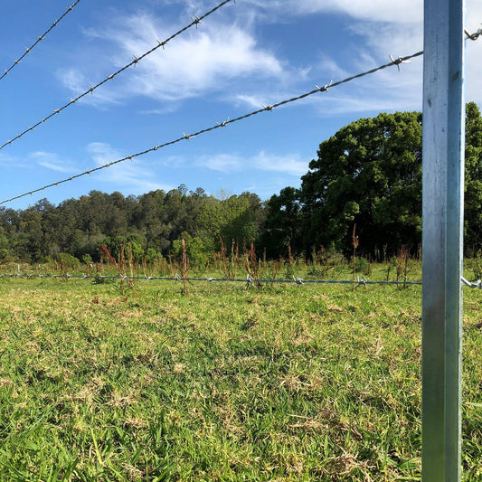 Jack Barbed Wire - 1.57mm x 100m - Galvanised - High Tensile – view 2 - Auzzistore