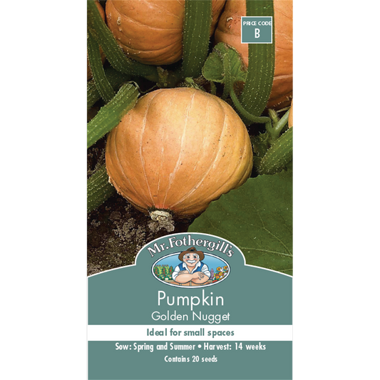 Mr Fothergill S Golden Nugget Pumpkin Seeds - Medium - Seed - Tasty - Auzzistore