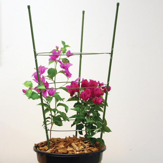 Jack Flower Trellis - 60cm - Steel - Powdercoated Green – view 2 - Auzzistore