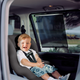 Dreambaby Car Window Shade 2 Pack Adjustable Black PVC Protection