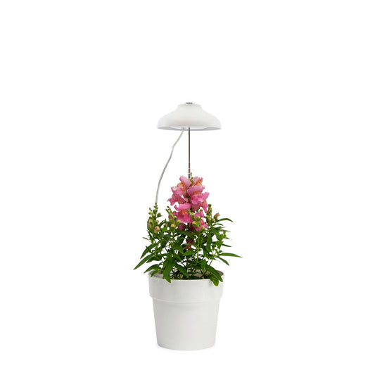 Home Grown Indoor Grow Light - Adjustable 70cm - Metal - Full Spectrum – view 2 - Auzzistore