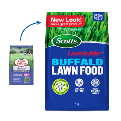 Scotts Lawn Builder Buffalo Lawn Food 4kg Granular Fertiliser 250m²
