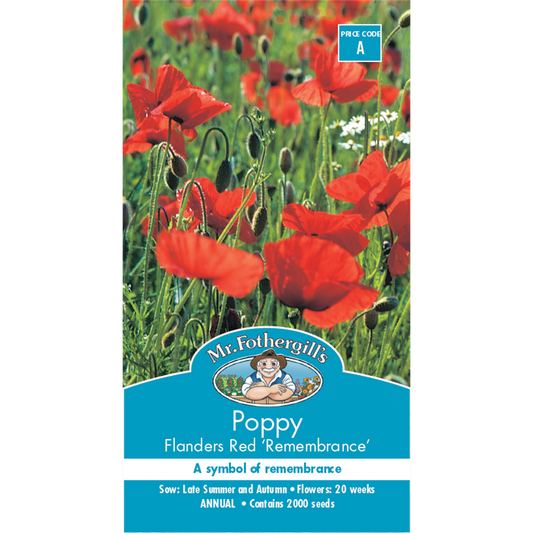 Mr Fothergill Poppy Flanders Red Flower Seeds 60cm Annual Sunny - Auzzistore