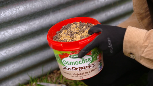 Scotts Osmocote Plus Organics - 1.5kg - Controlled Release Fertiliser - Safe for Vegetables – view 2 - Auzzistore