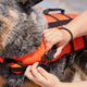 Happy Tails Large Floating Pet Vest - 400mm x 450mm - Safe Water Training