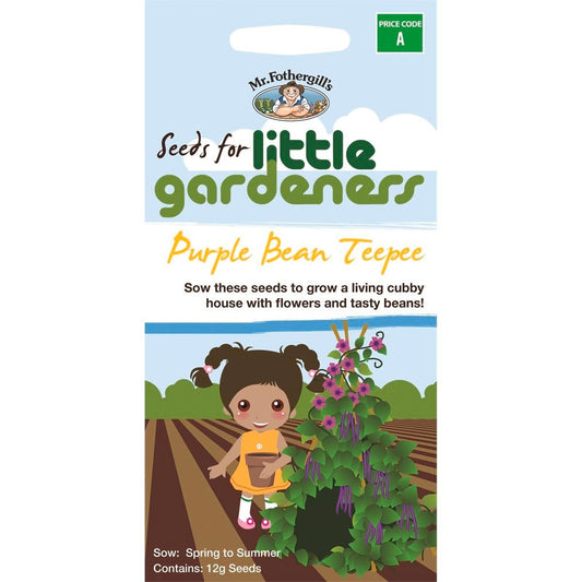 Mr Fothergill Bean - 75mm - Seeds - Easy to Grow Purple Beans - Auzzistore