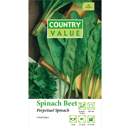 Country Value Perpetual Beet Spinach Seeds - 75mm - Hardy - Fast Growing - Auzzistore