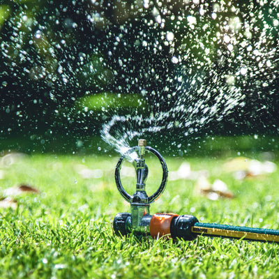 Holman Butterfly Sprinkler - Metal Spike 4m Spray Radius Durable