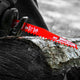 Diablo Pruning Blade - 6" - Carbide - Fast Cutting Performance