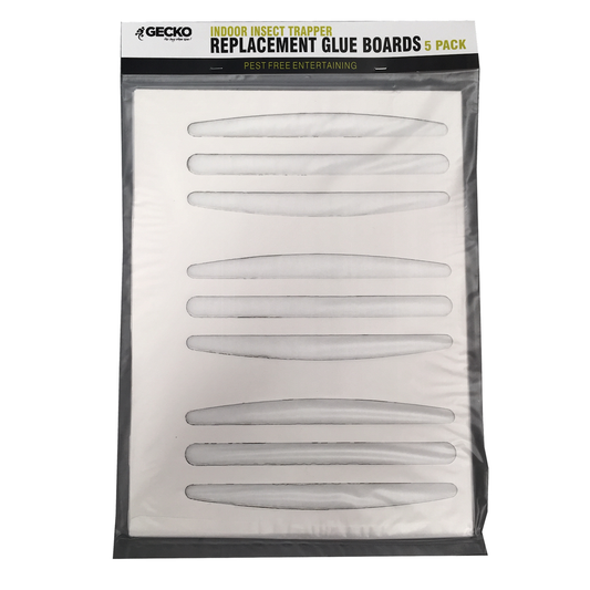 Gecko Sticky Glue Insect Trapper - 5 Pack - Non Toxic - Easy Use - Auzzistore