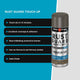 White Knight Rust Guard 300g Gully Satin Touch Up Spray Paint