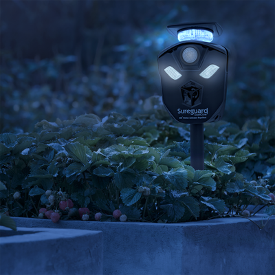 Sureguard Scarecrow Motion Activated Ultrasonic Animal Repellent - 145mm x 153mm x 120mm - Solar-Powered - 360-Degree Coverage - Deters Dogs, Cats, Deer, Rabbits